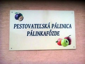 palenica2